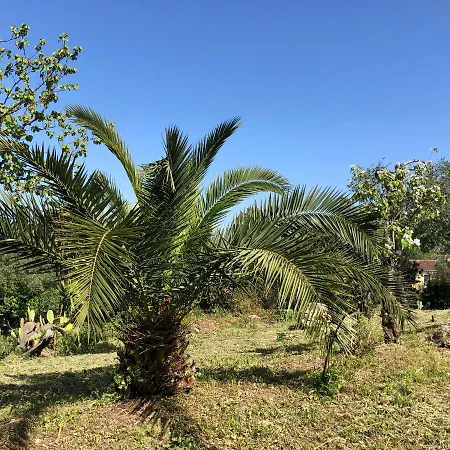 Casa Sofia Holiday home Dassia (Corfu)
